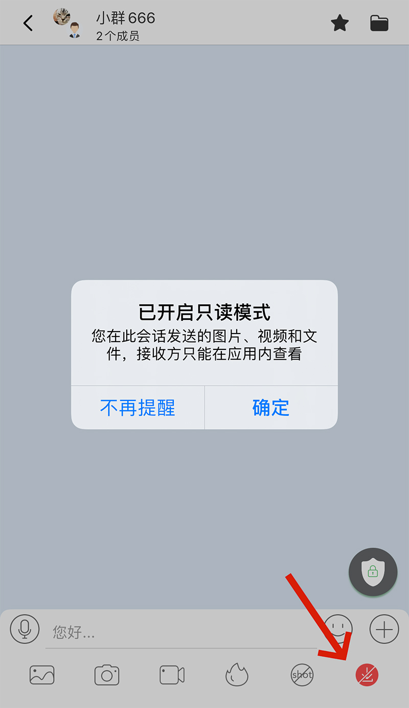 只读模式界面示意